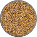 Briess Lighthouse Munich Malt in a bowl