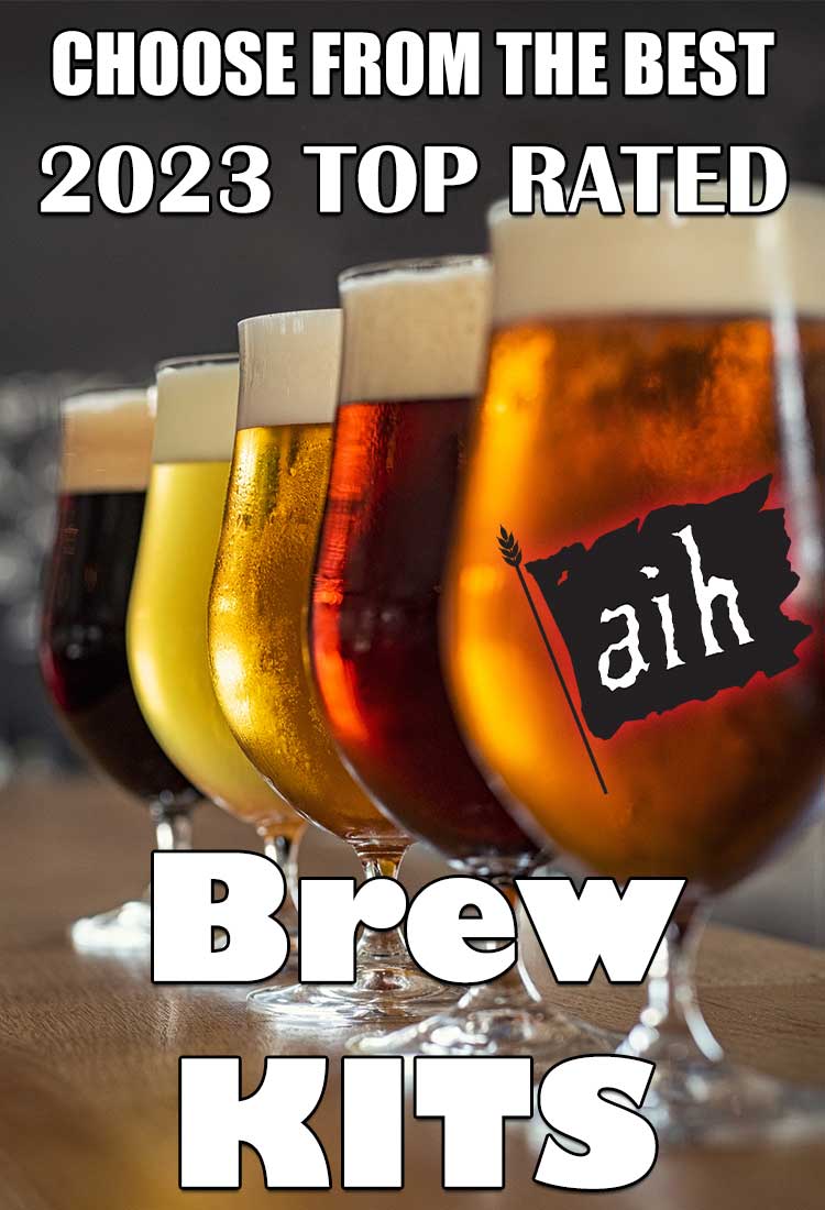 Choose from the most popular beer recipe kits of 2023