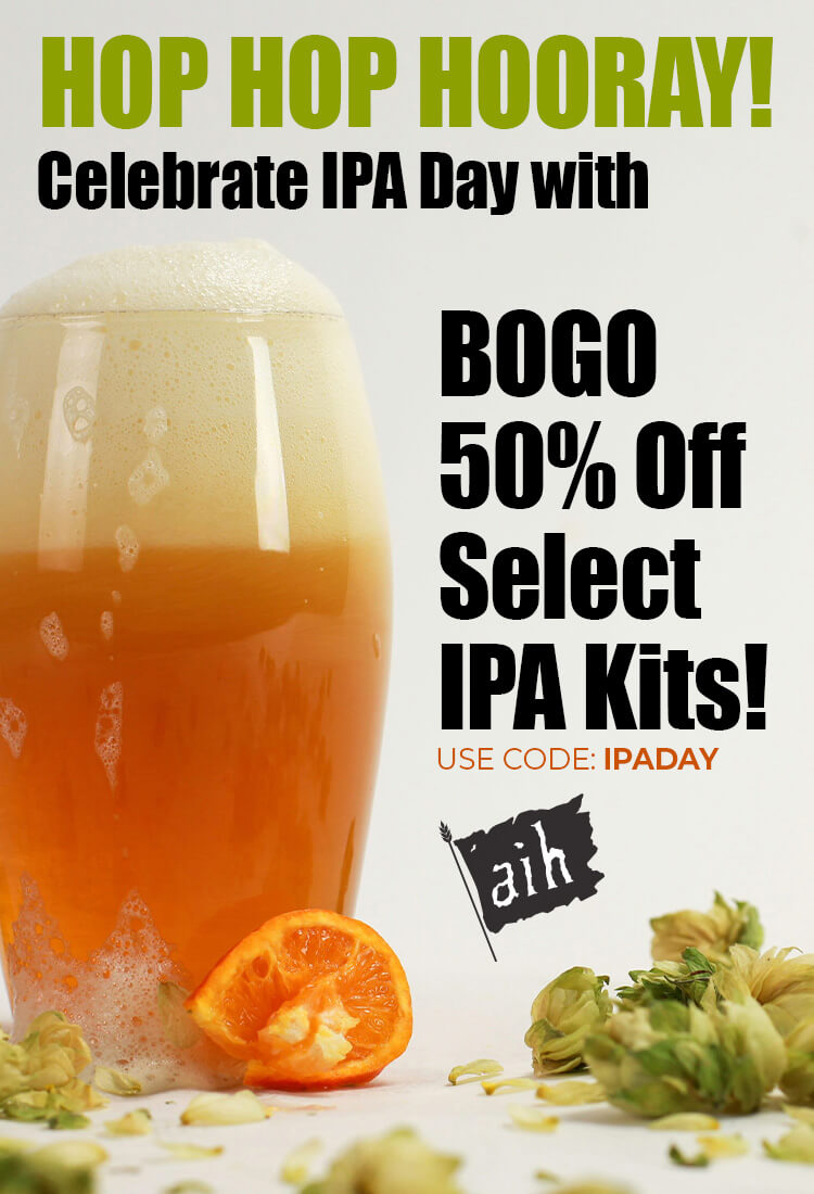 Promotional graphic for IPA Day with a glass of beer, orange, and hops.