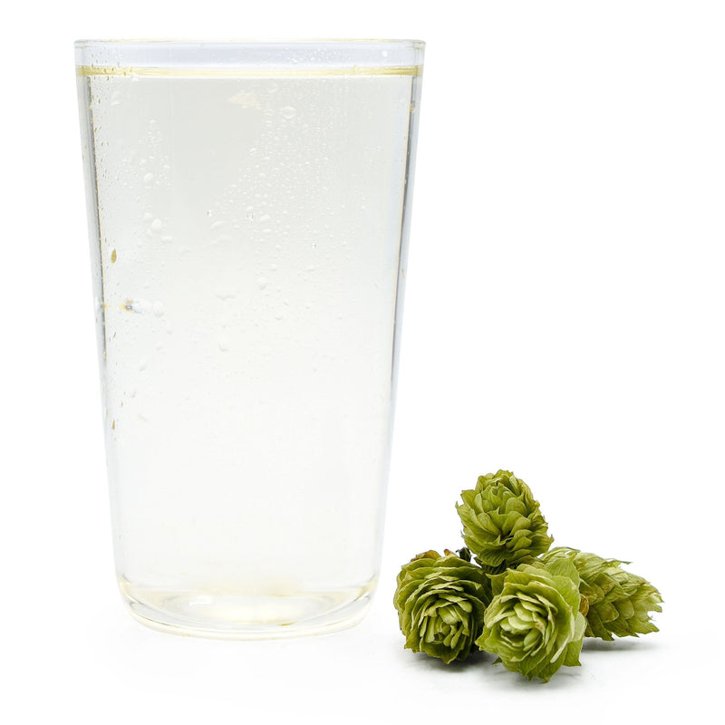 A crisp glass of Hopped Hard Seltzer with Cascade hops arranged on the side.