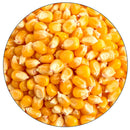 Pile of malted corn