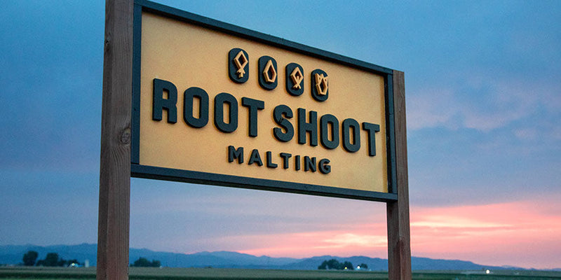 Chit Malt - Root Shoot Malting