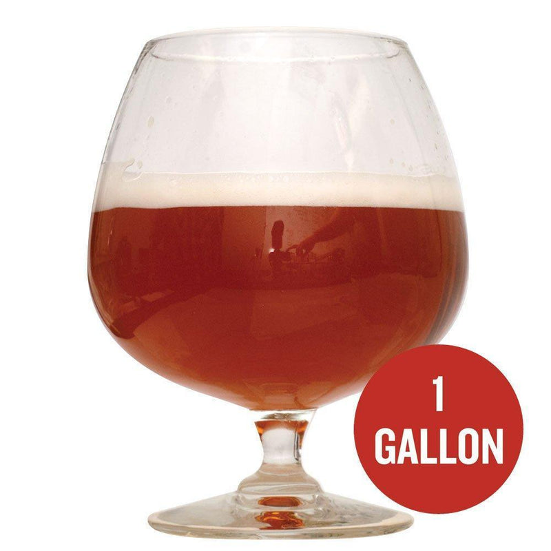 Bomber Barleywine homebrew in a glass with "1 gallon" text within a red circle