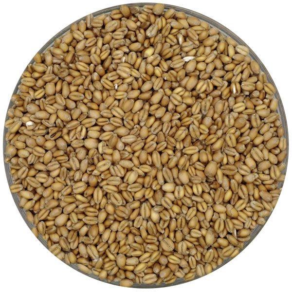 Weyermann® Floor Malted Bohemian Pale Wheat Malt in a bowl