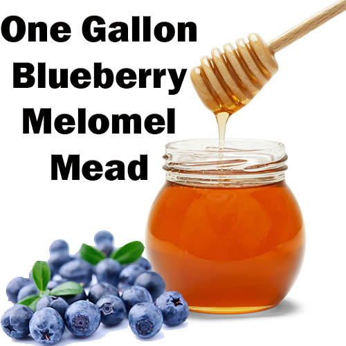 Blueberry Melomel Mead (One Gallon)