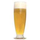 Honey Country Pilsner in a glass