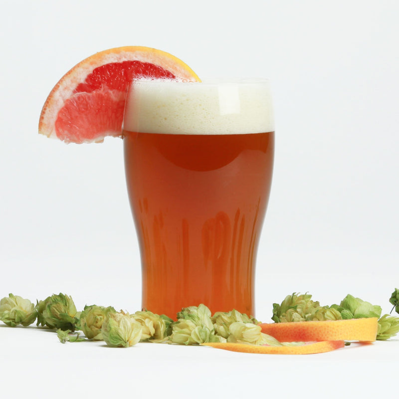 Fresh Squished IPA in a glass with a grapefruit wedge, amidst hope cones