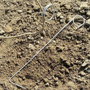 Hop Twine and Clips (5 Pack)