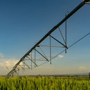 Root Shoot Malt Irrigation