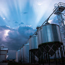 Root Shoot Grain Storage