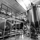 Root Shoot Malting Tanks