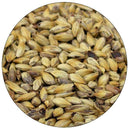 Briess Organic C-60L malt in a close up view