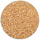 Rahr White Wheat Malt in a bowl
