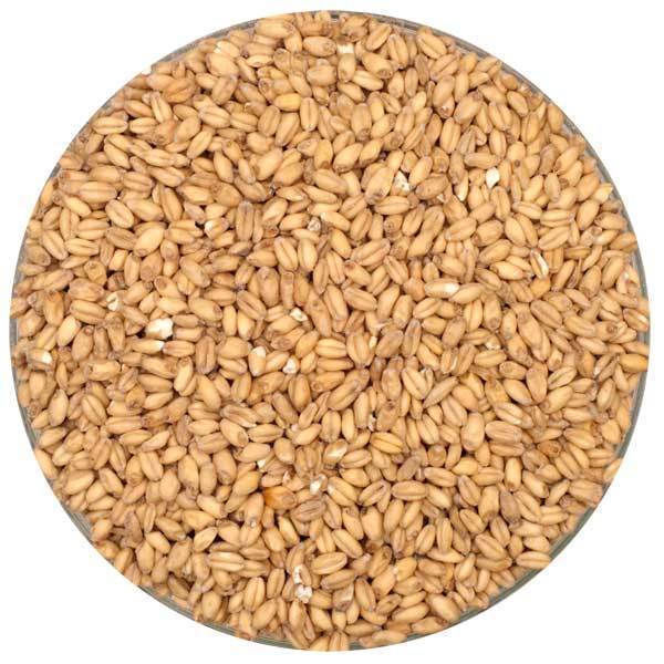Canada Malting Wheat Malt 1 lb